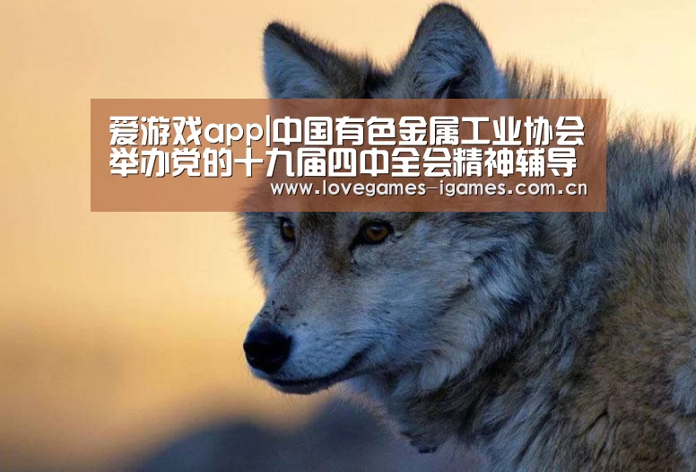 爱游戏app|中国有色金属工业协会举办党的十九届四中全会精神辅导讲座(图2) 爱游戏