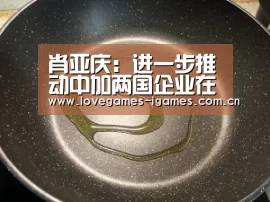 肖亚庆:进一步推动中加两国企业在能源矿产等领域合作“爱游戏”(图2) 爱游戏