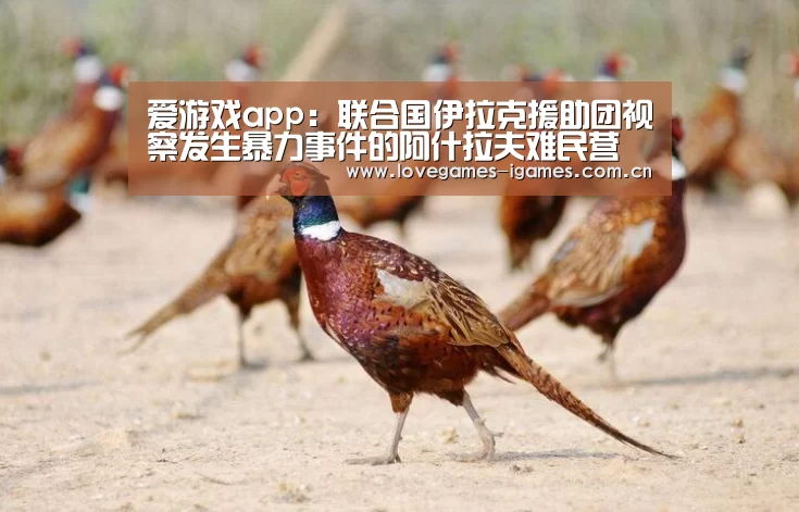 爱游戏app