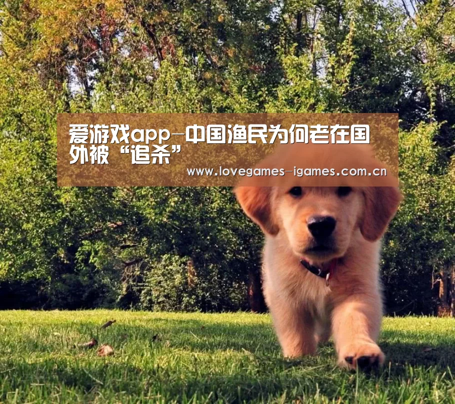 爱游戏app-中国渔民为何老在国外被“追杀”(图1) 爱游戏官网