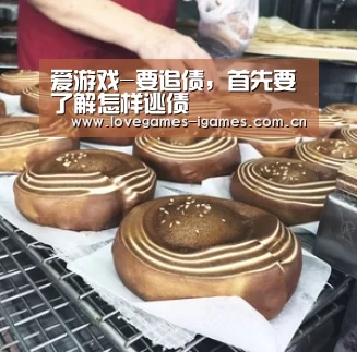 爱游戏-要追债,首先要了解怎样逃债(图2) 爱游戏官网