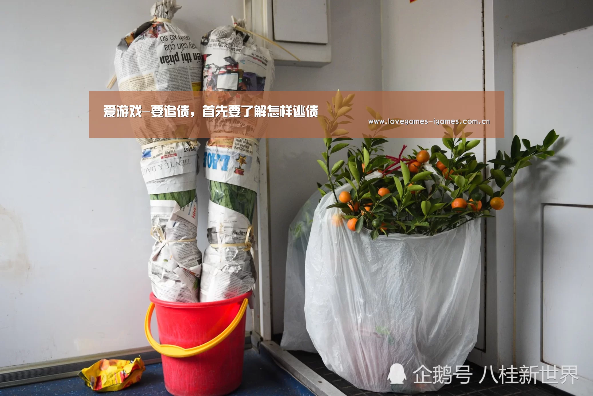 爱游戏-要追债,首先要了解怎样逃债(图4) 爱游戏app