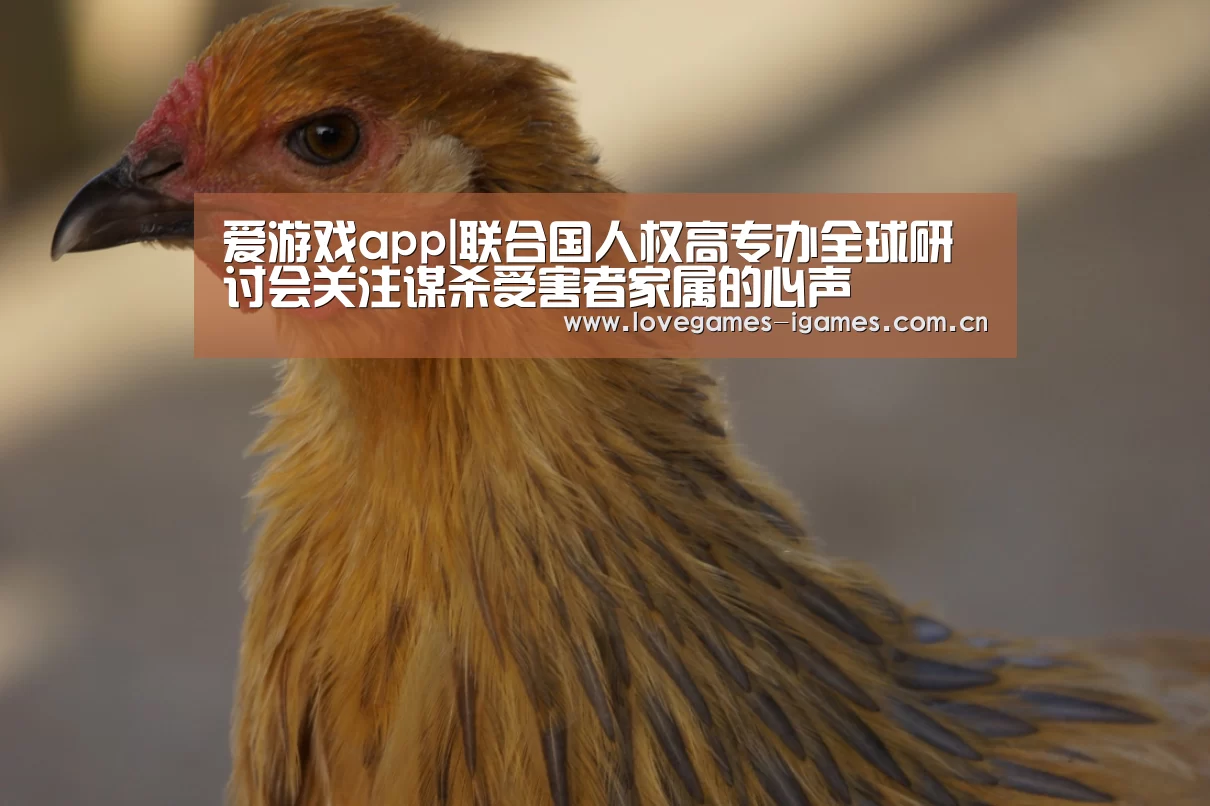 爱游戏app|联合国人权高专办全球研讨会关注谋杀受害者家属的心声(图1) 爱游戏app