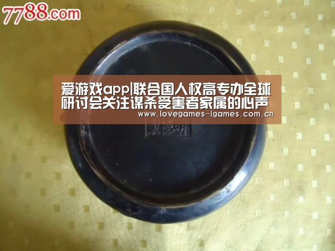 爱游戏app|联合国人权高专办全球研讨会关注谋杀受害者家属的心声(图2) 爱游戏app