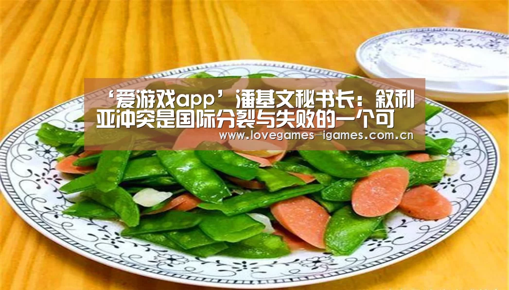 ‘爱游戏app’潘基文秘书长:叙利亚冲突是国际分裂与失败的一个可耻象征(图4) 爱游戏官网