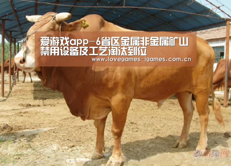爱游戏app